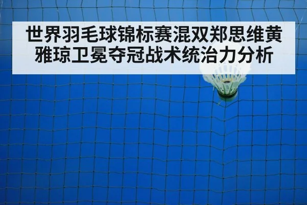 badminton net play